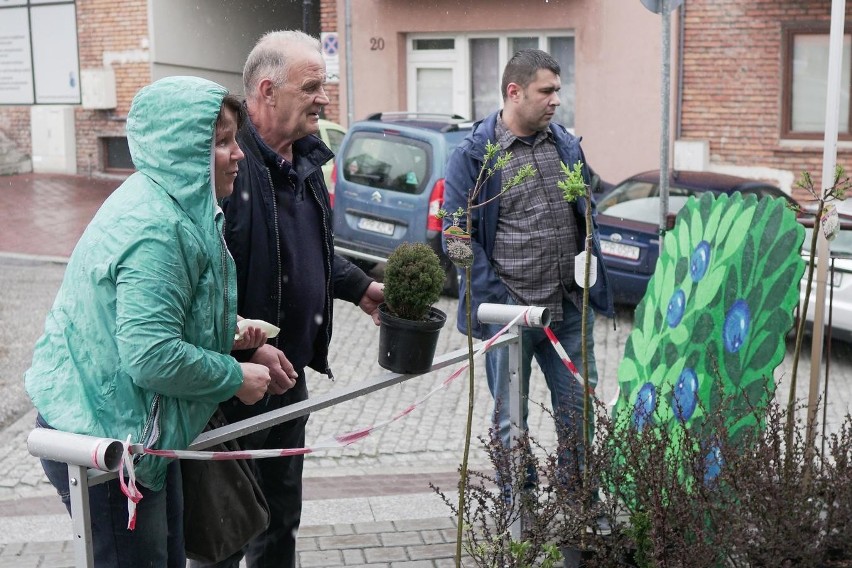 Proszowice. Piknik ekologiczny na miejskim Rynku