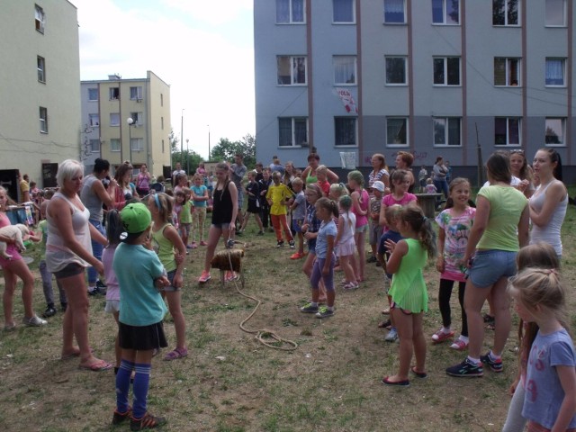 Na wakacyjnym festynie na terenie dzielnicy socjalnej przy ulicy Marii Gajl w Radomiu królowała zabawa, gry i konkursy dla rodzin.