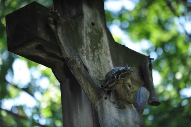 Jak obliczyła Iracka Organizacja Praw Człowieka im. Hammurabiego, w latach 2003-2013 w tym kraju zginęło łącznie ponad 900 chrześcijan, 200 zostało porwanych, 325 tys. przymuszono do przeniesienia się w inne regiony kraju. Wielu chrześcijan zmuszono do emigracji.