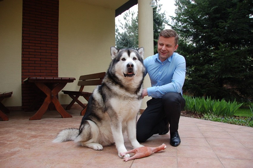 Frodo został ubiegłorocznym laureatem w kategorii "Super...