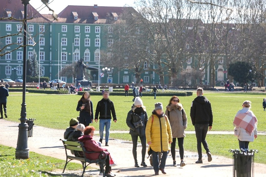 Szczecinianie na spacerze. Jasne Błonia