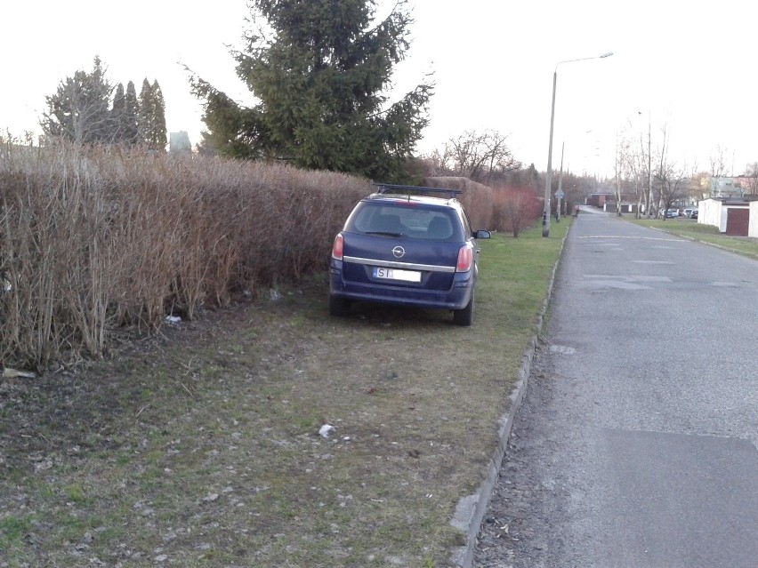 Siemianowice Śląskie, ogródki działkowe przy ul. Korfantego