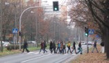 Wrocław: Studentów czerwone światło nie obowiązuje? Po co tyle czekać!