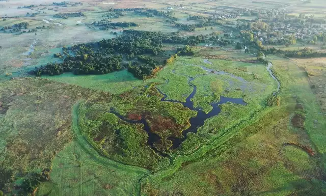 Śródlądowa delta rzeki Nidy z drona. Teren już po zabiegach hydrologicznych i renatruryzacyjnych.