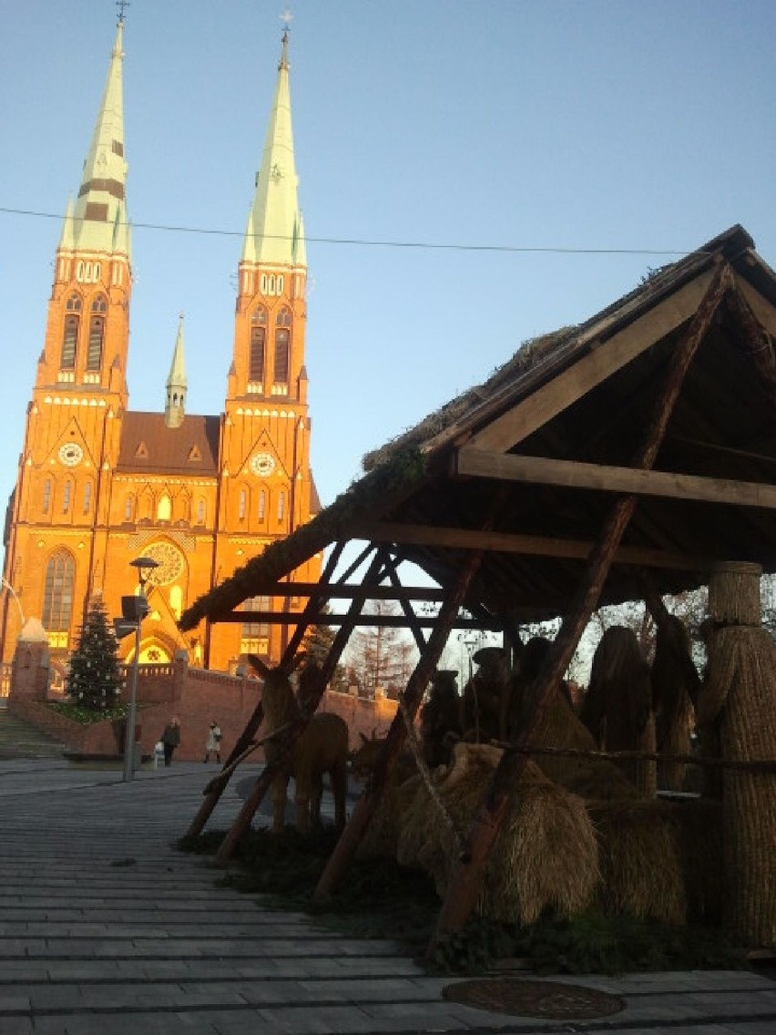 Szopka z siana znajduje się pod bazyliką