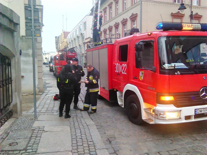 Straż pożarna ściągała koty z dachu