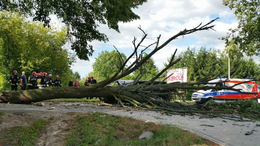 Ul. Nałęczowska: Drzewo spadło na samochód (ZDJĘCIA)
