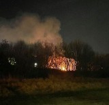 Pożar nad Wartą w Poznaniu. Spłonęło koczowisko bezdomnych. Nie żyje kobieta