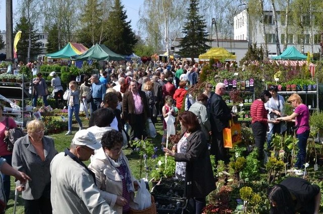 Wiosenne Targi Ogrodnicze w Starym Polu ju 22 i 23 kwietnia