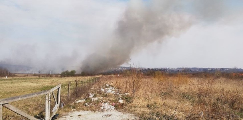 Pożar traw na wielkim obszarze. Rozprzestrzenia się w okolicy torowiska między Skawiną a Krakowem