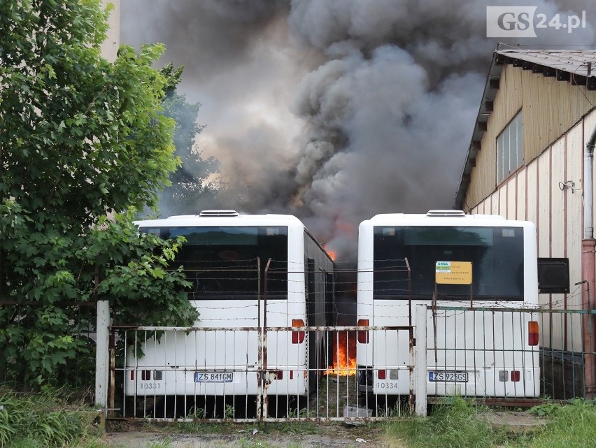 Pożar w bazie PKS w Szczecinie. Trzy autobusy spłonęły doszczętnie [ZDJĘCIA, WIDEO] 