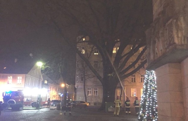 W sylwestrowy wieczór, 31 grudnia, zielonogórscy strażacy zostali wezwani do nietypowego pożaru. W samym centrum miasta, tuż przy pomniku na placu Bohaterów, zapalił się dąb, który sam jest pomnikiem przyrody. - To prawdopodobnie odpalone fajerwerki były przyczyną pojawienia się ognia – usłyszeliśmy od strażaków. Mieszkańcy powiadomili ogniowców o godz. 17.40. Na miejsce został wysłany jeden wóz. Jego załoga szybko opanowała sytuację. Na razie nie wiadomo, jak bardzo drzewo ucierpiało. Zdjęcia otrzymaliśmy od naszego Czytelnika. Dziękujemy.Zobacz wideo: "Nie strzelam w Sylwestra". Apele obrońców praw zwierząt przed zabawą sylwestrowąwideo: TVN24