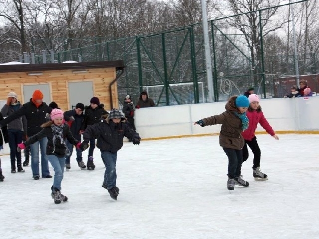 to jedyny biały orlik na Podlasiu