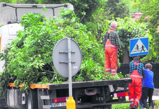 W Białobrzegach przez cały weekend usuwano powalone drzewa i konary, które tarasowały drogi i chodniki.