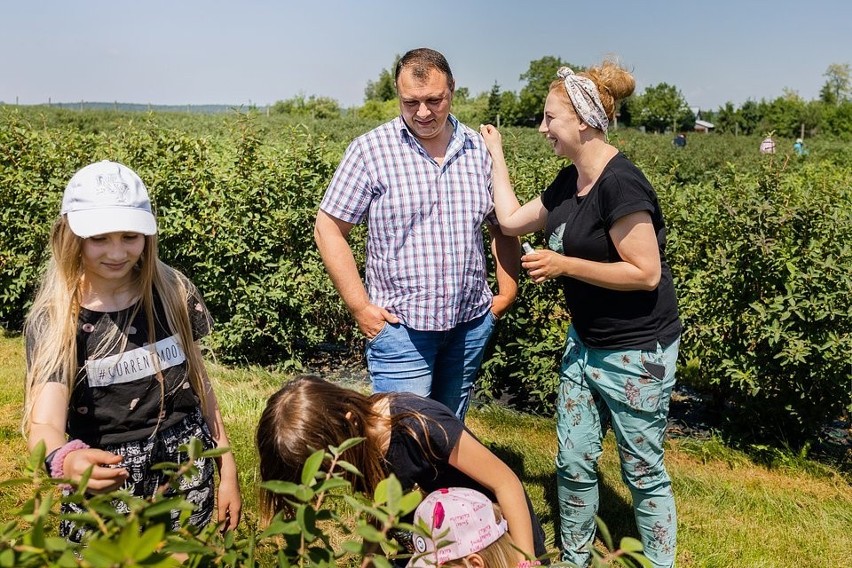 Ośmiu gospodarzy z regionu zaprasza na „Weekend z Jagodą...