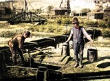 Gorączka czarnego złota w Małopolsce. Tu wydobywano ropę naftową! 