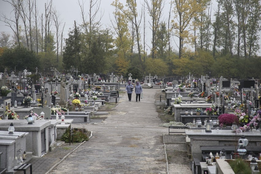 Wszystkich Świętych 2021. Organizacja ruchu, miejsca parkingowe i kwesty przy cmentarzach w powiecie jędrzejowskim (MAPKI)