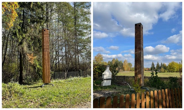 Fundusz Żubra ratuje nietoperze. Budki i wieże w Białowieży