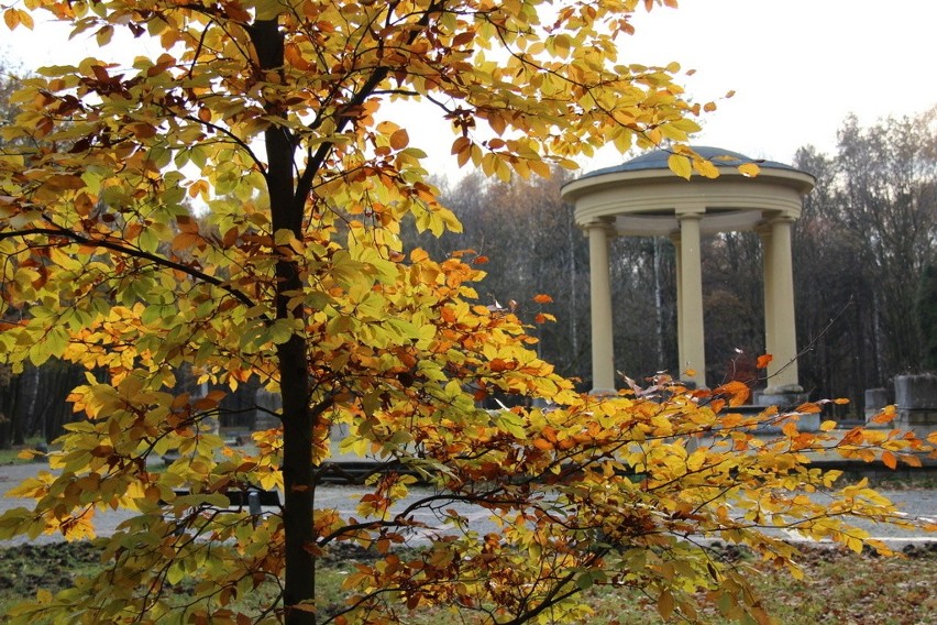 Tak wygląda park Zielona w jesiennych barwach