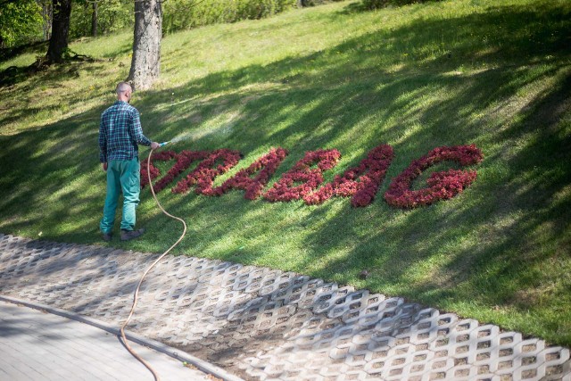 Napis z kwiatów pojawił się przy nowym rondzie na ul. Kaszubskiej.