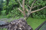 Wichura na Śląsku zrywała dachy, wyrywała drzewa WIDEO + ZDJĘCIA Straty ogromne