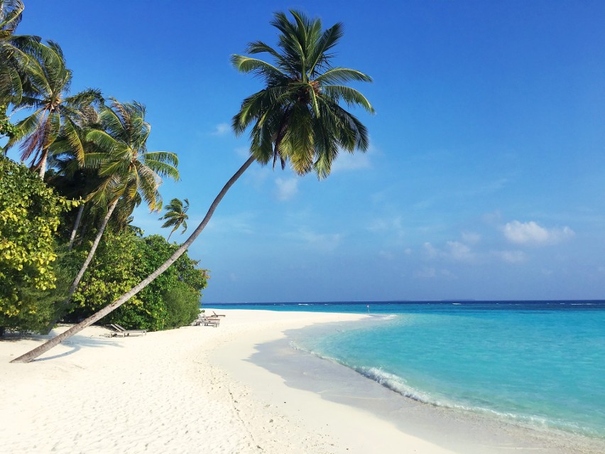Malediwy uchodzą za oazę luksusu. Tutejsze kurorty oferują...