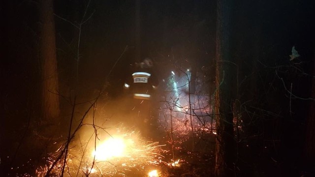 W poniedziałek w nocy strażacy zostali wezwani do pożaru lasu w miejscowości Klepacze. Miejsce wezwania było niesprecyzowane. Zdjęcia udostępnione ze strony: OSP Klepacze