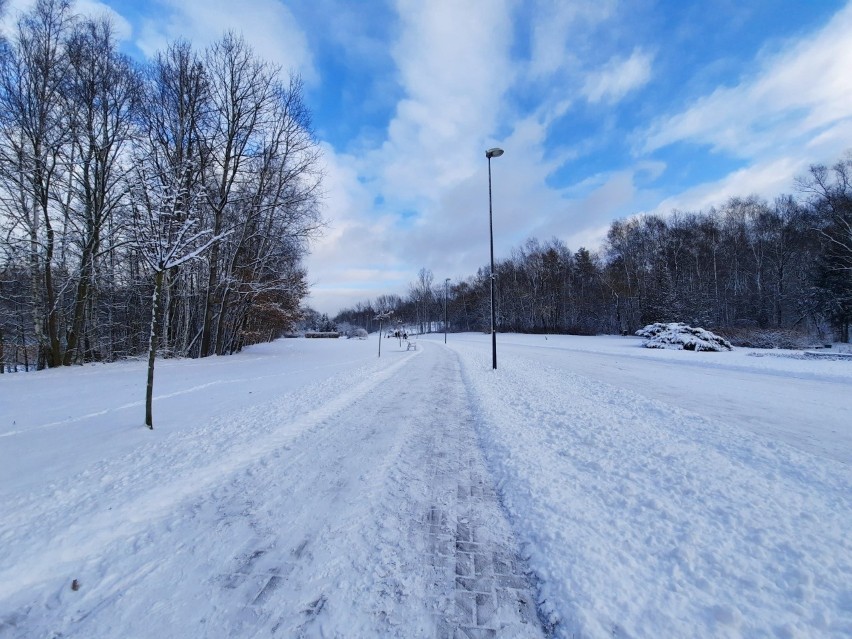 Dolina Trzech Stawów w Katowicach w zimowejodsłonie. 13...