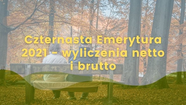 Na tę chwilę "czternastka" zostanie wypłacona raz - w 2021 roku. Według informacji rządu, czternasta emerytura w 2021 roku trafi do 9,1 miliona osób.Pełne świadczenie otrzyma większość emerytów, ale nie wszyscy. Przy wypłacie czternastej emerytury dla osób z emeryturą powyżej 2900 zł brutto zastosowana zostanie zasada "złotówka za złotówkę". Co to oznacza? Zobacz wyliczenia przyszłych Czternastych Emerytur w poniższej galerii.