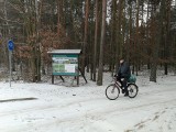 Na Leśnym Trakcie bez zmian. Wiceprezydent odpowiedział radnemu