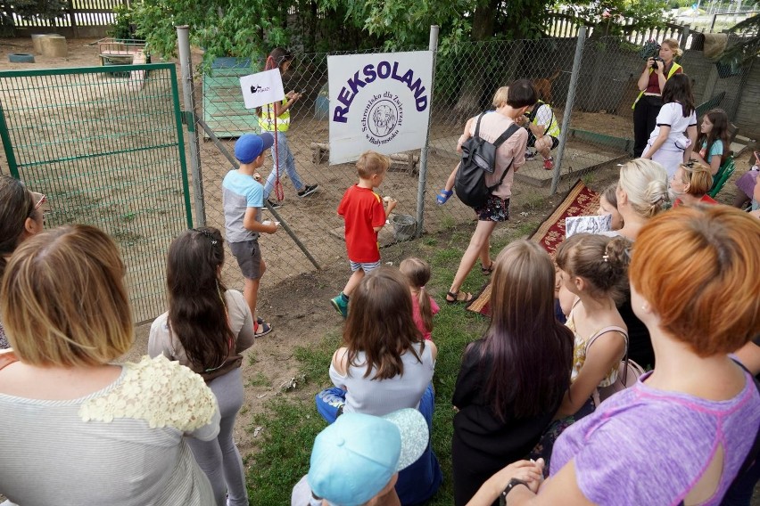 Pokaz psich umiejętności cieszył się szczególnym...