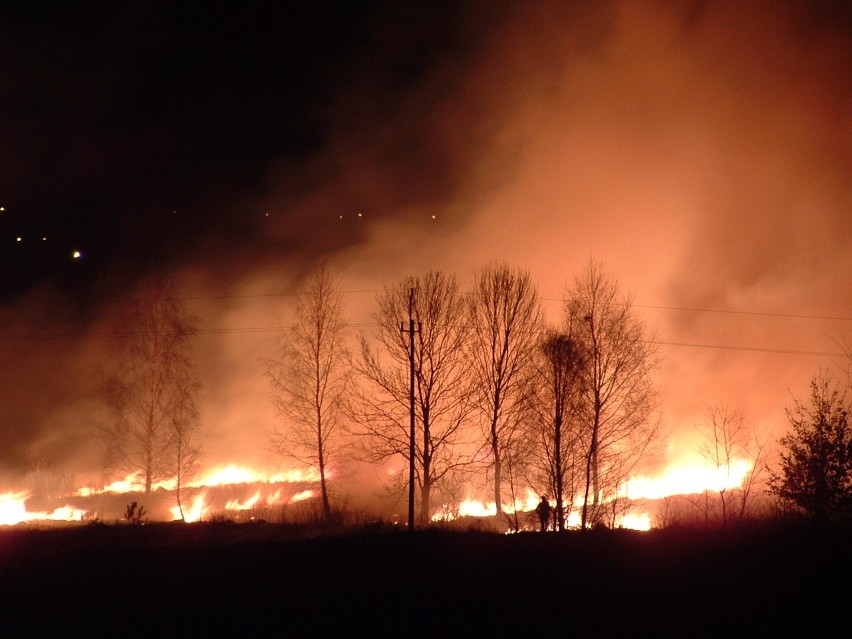 Pożar łąk między ulicą Kozienicka i Kędzierskiego