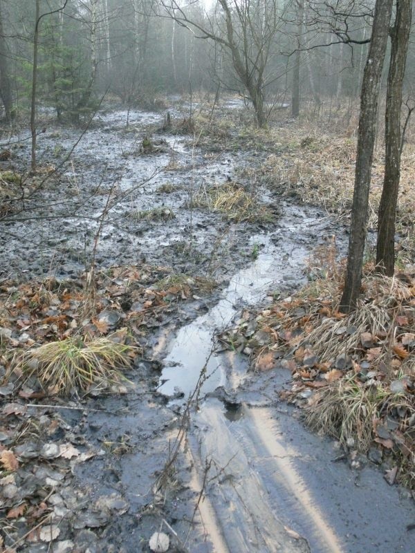 Przez las na Skałce płynęła rzeka nieczystości. Do dziś czuć smród i widać pozostałości po ściekach.
