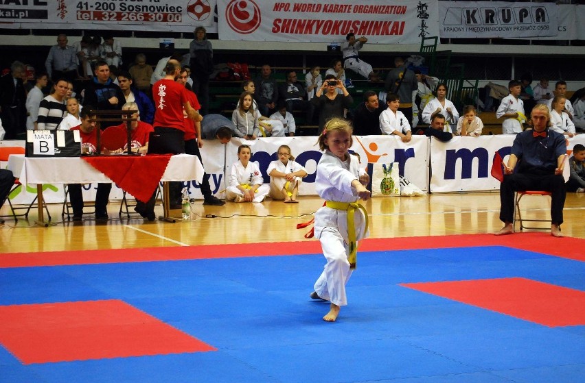 Open Karate Tournament Sosnowiec Cup 2018 wygrał Sosnowiecki...