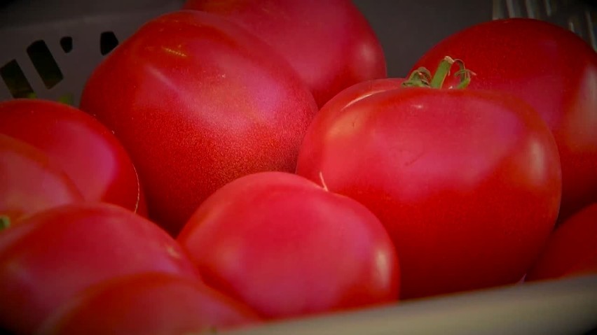 5 powodów, dla których warto jeść pomidory [WIDEO]