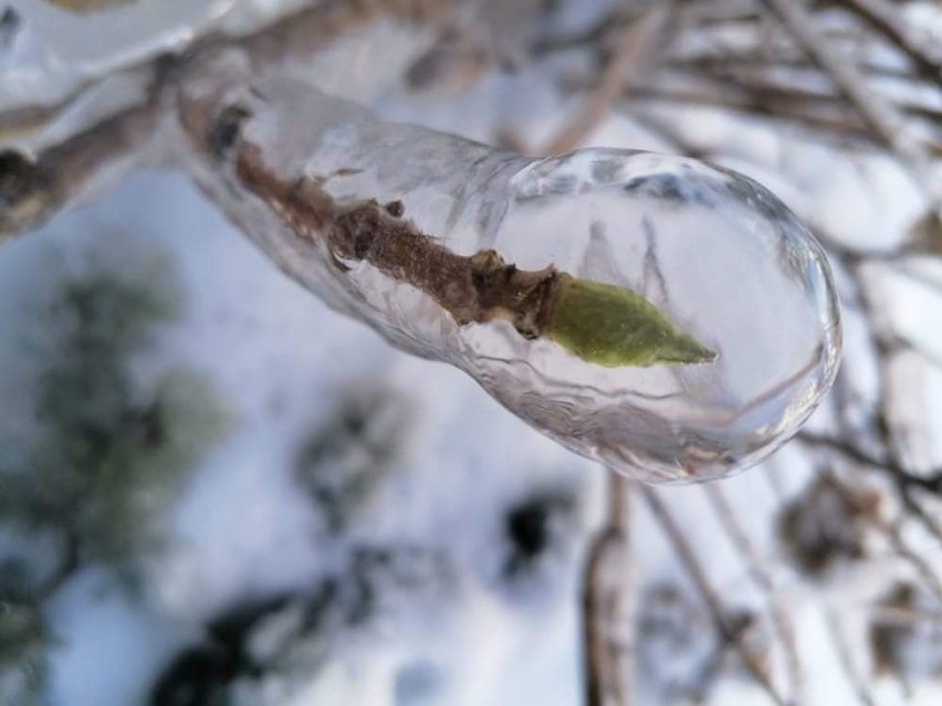 Uwaga!. Ostrzeżenie meteo. Marznące opady w województwie...