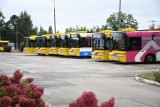 Włocławek planuje zakup kolejnych sześciu autobusów elektrycznych. Zdjęcia
