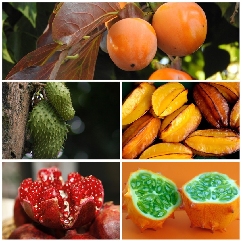 TOP 10 egzotycznych owoców na trójmiejskim rynku [zdjęcia]