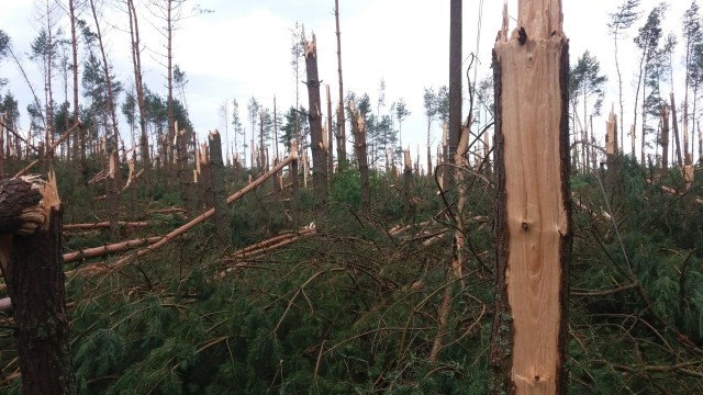 Struszewo koło Bytowa