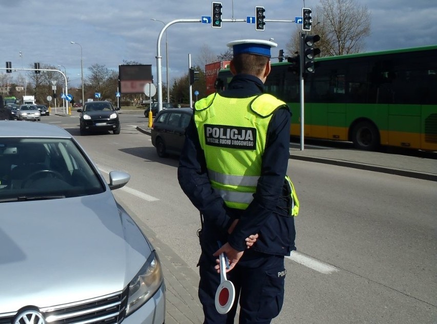 Policjanci biorący udział w działaniach, kontrolują prędkość...