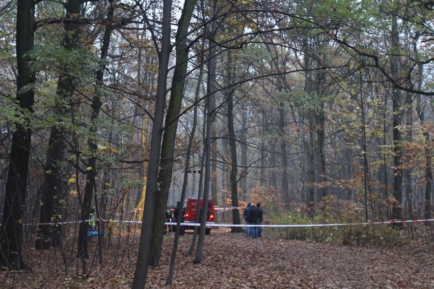 Morderstwo w parku Kościuszki w Katowicach 9.11.2016
