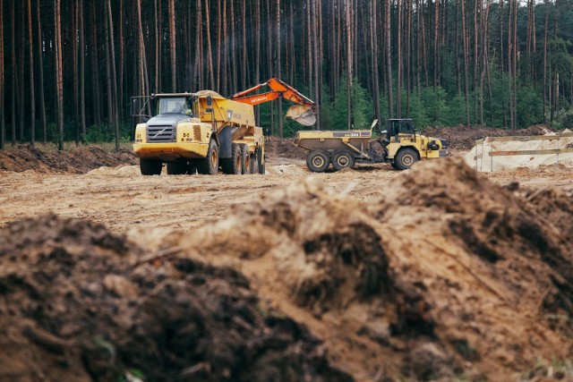 zdjęcie ilustracyjne