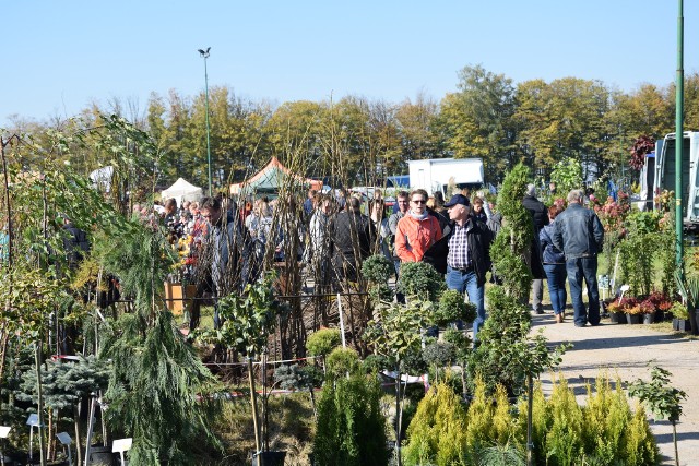 Targi w Szepietowie zawsze cieszą się dużym zainteresowaniem