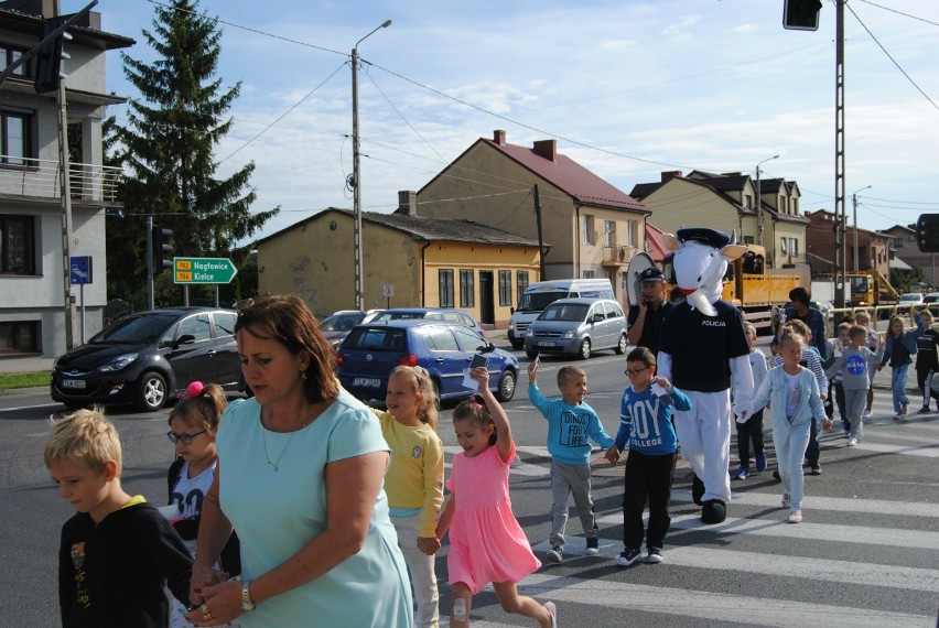 Nowy Koziołek Spoko we Włoszczowie. Policjanci uczyli dzieci bezpiecznych zachowań. Przede wszystkim w drodze do szkoły (ZDJĘCIA, WIDEO)