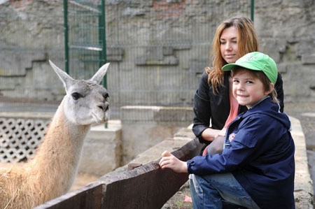 Od dziś jeden bilet do zoo, ogrodu botanicznego i palmiarni! [zdjęcia]