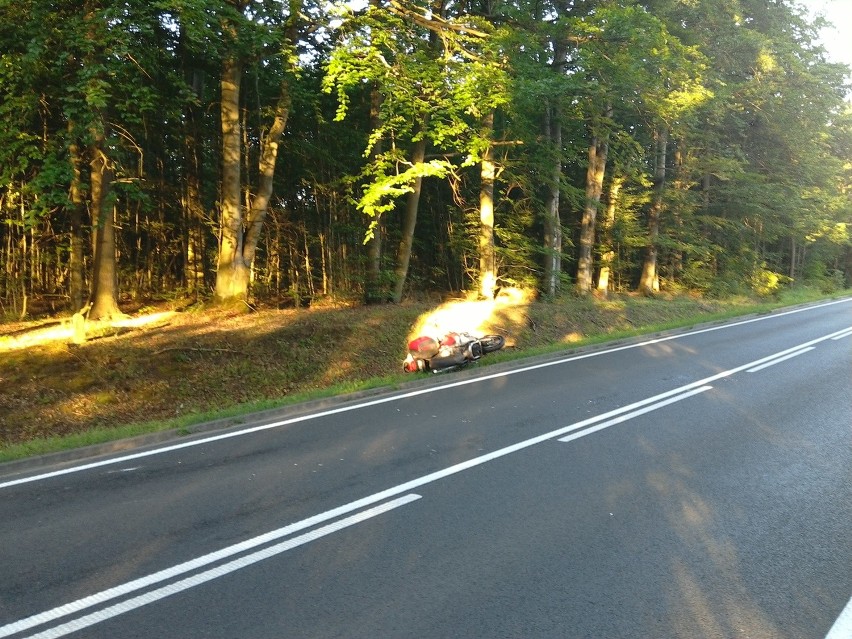 Zderzenie motocyklisty z sarną (zdjęcia)