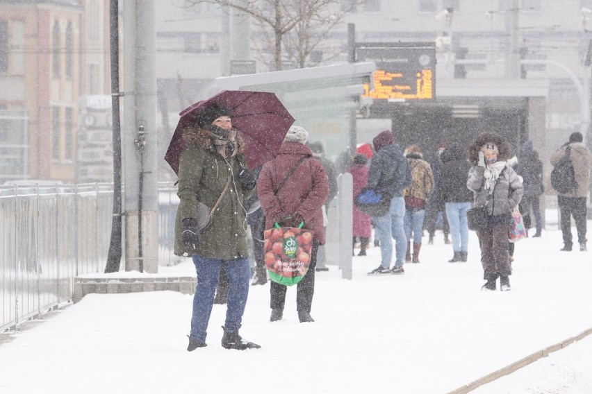 Tak wygląda zasypany śniegiem Poznań w poniedziałek, 8...