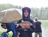 Łowienie z parasolkami. Zawody wędkarskie w Modrzejewie (ZDJĘCIA)