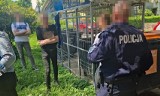 Łowcy pedofili namierzyli kolejnego mężczyznę z Dolnego Śląska, który proponował dziecku seks. "To nie jest chyba grzech"