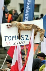 Wypchany lis na transparencie podczas marszu w Warszawie